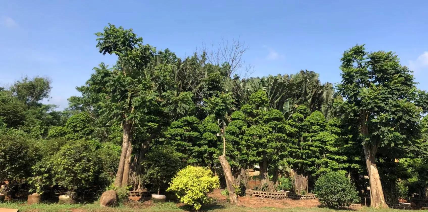 海南文昌博鳌骑行旅游攻略,骑行中国之淄博