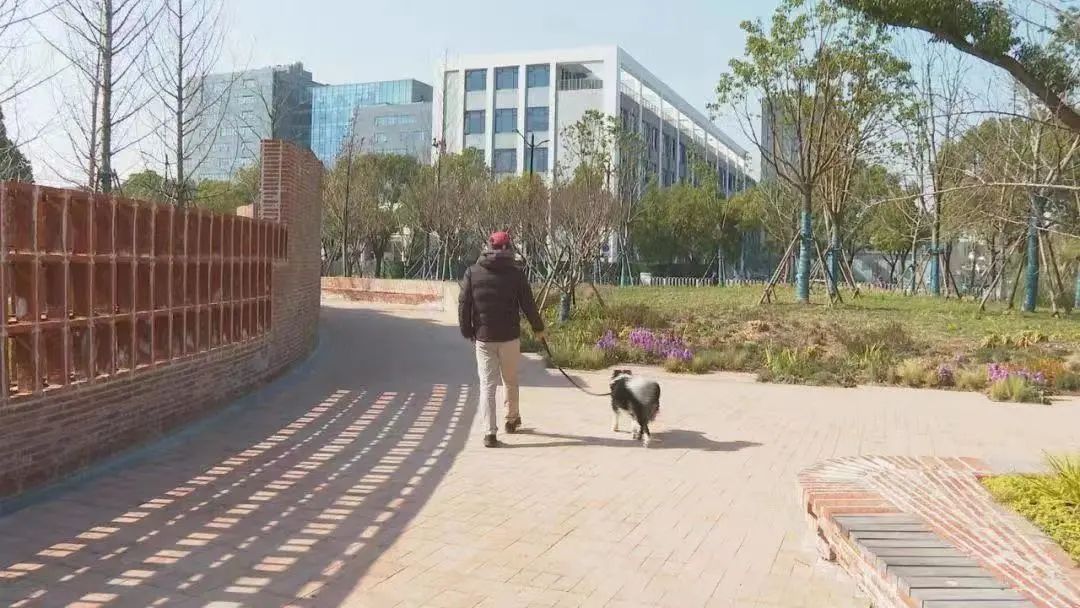 闵行体育公园现在开放吗,闵行新建绿地公园