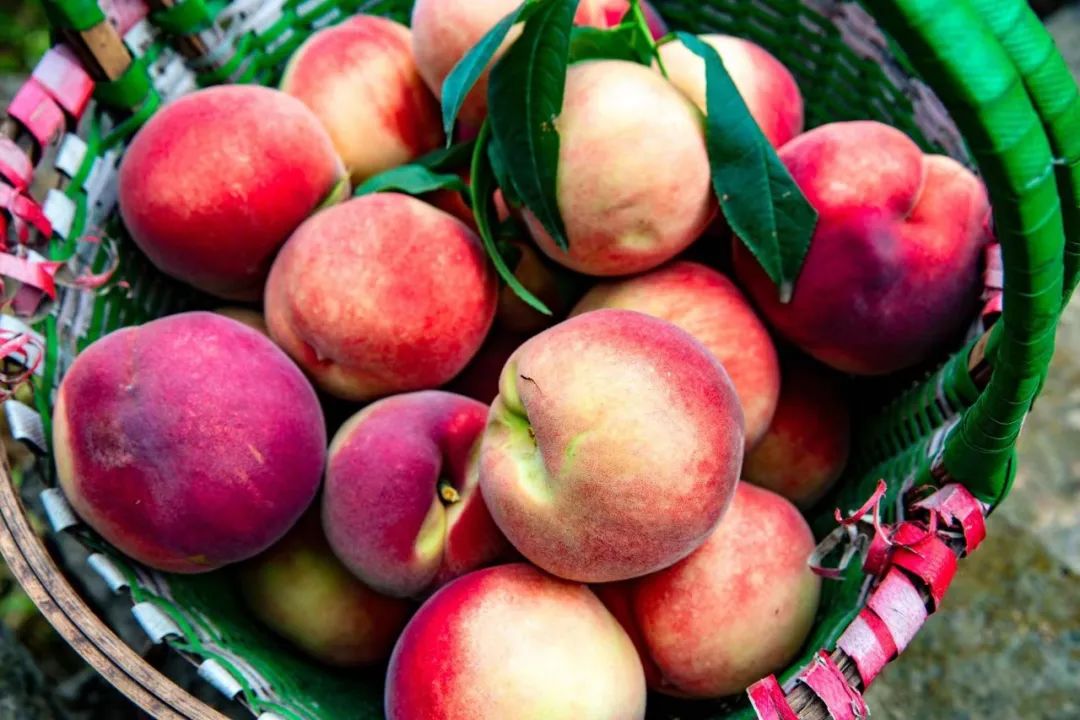 “min”甜爆汁！西瓜、蓝莓、桃子......彭州今夏水果新鲜开摘喽