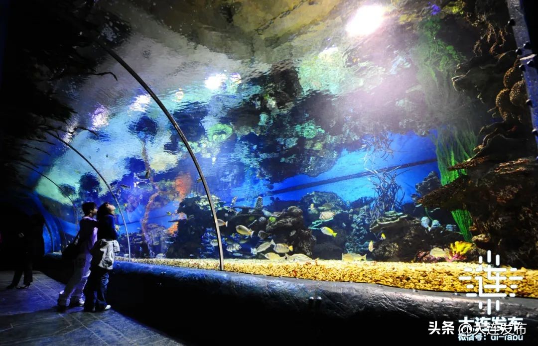 最新旅游景区发展,杭州大明山风景区五一攻略