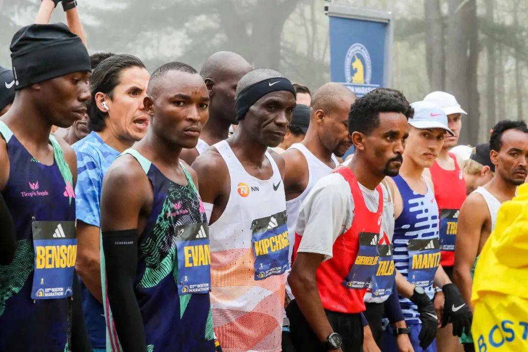 娉㈤┈鍩烘櫘涔旀牸鏃犵紭鍗啎,娉㈤┈鍩烘櫘涔旀牸