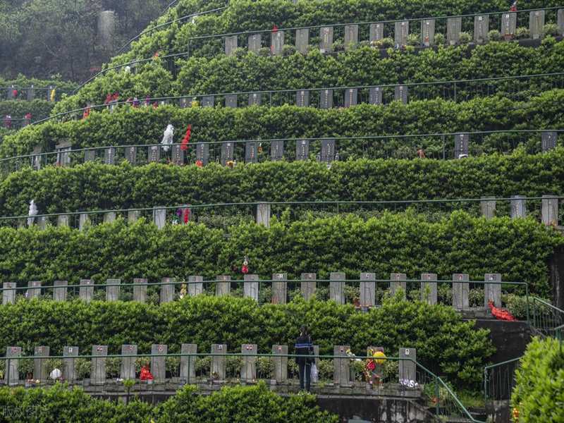 墓地风水图解知识大全,艾尔登法环灵依墓地位置