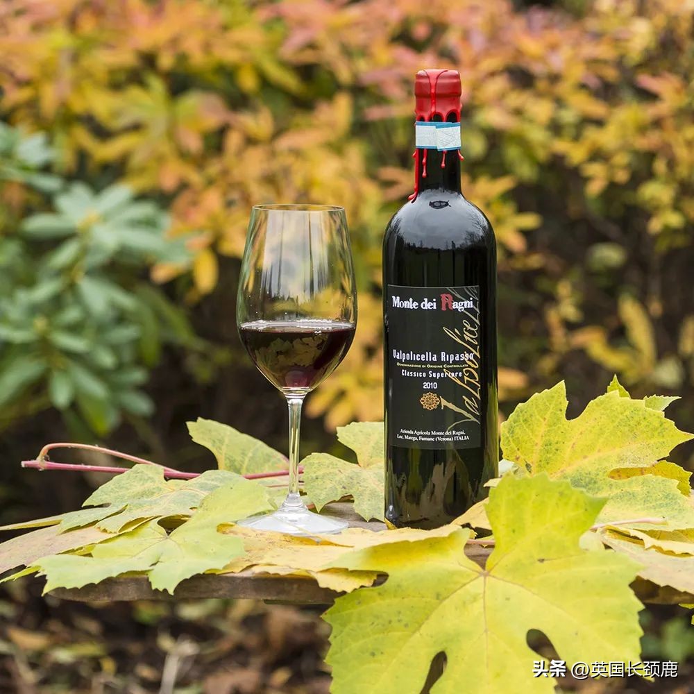 每次买葡萄酒满头问号瞎买？红白葡萄酒大科普：英国好酒推荐