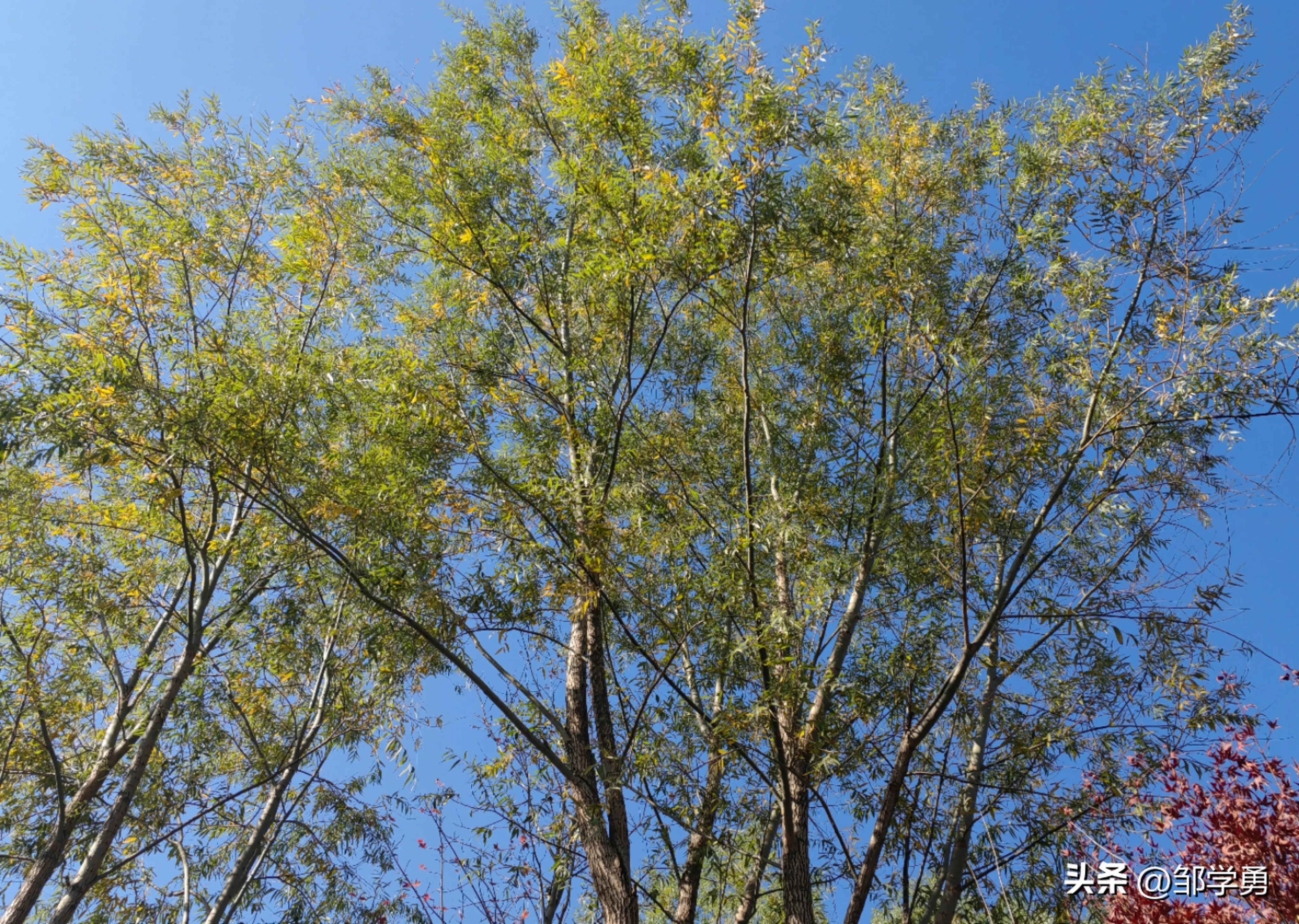 晨跑有悟:当土埋的越多时,你感受到什么?