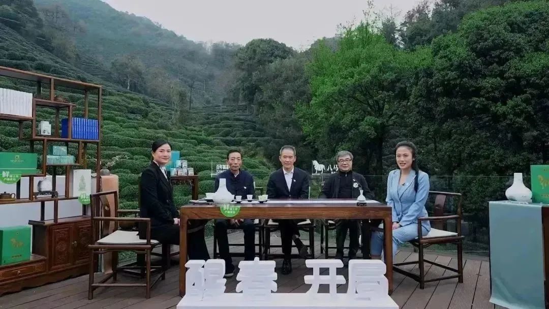 春茶产品营销策略分析,春茶营销