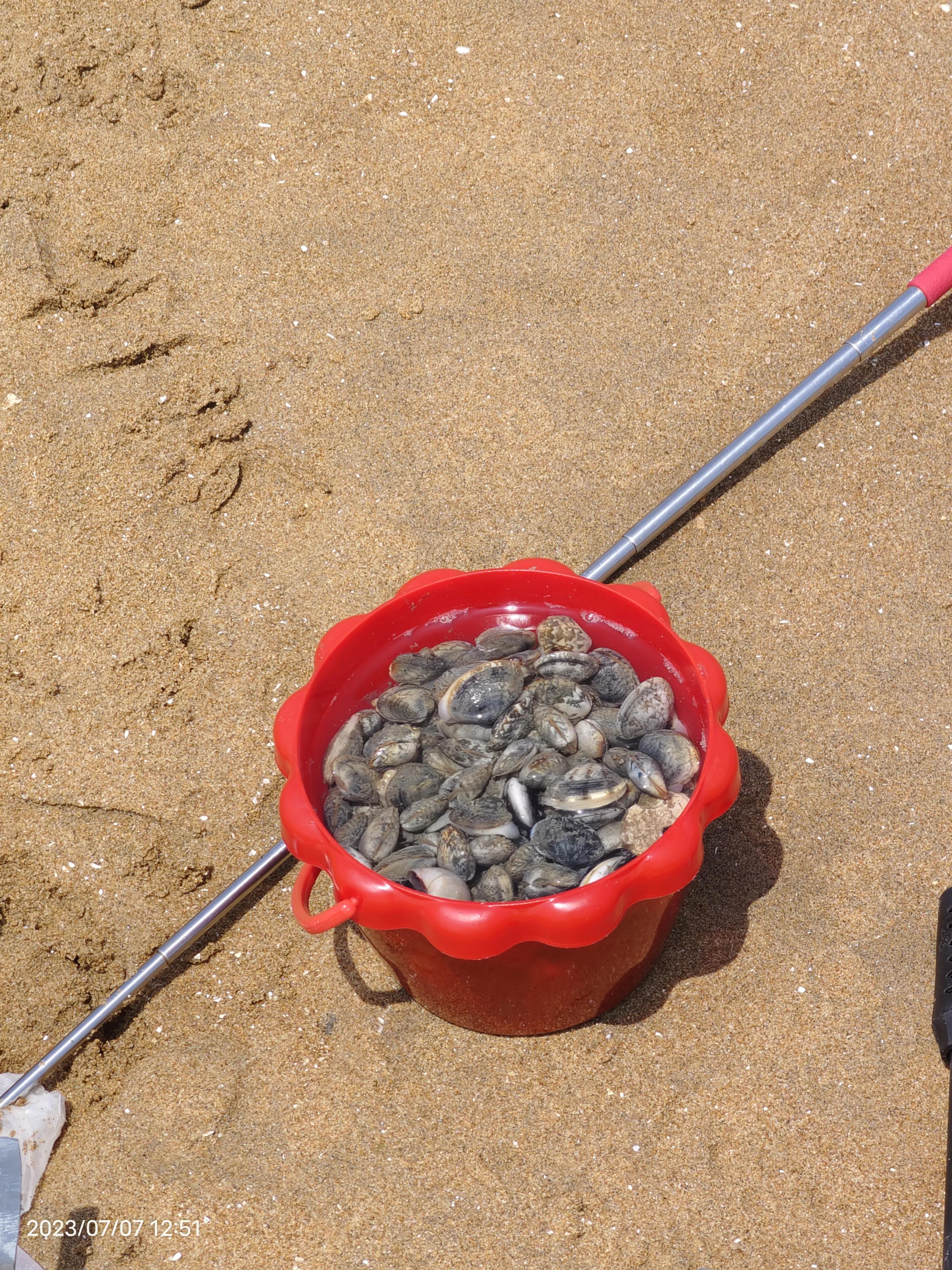 岚山物价高吗,日照岚山区旅游