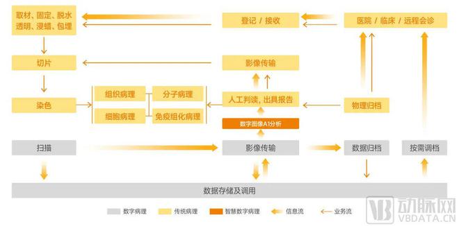 病理检测市场情况,病理报告有用吗