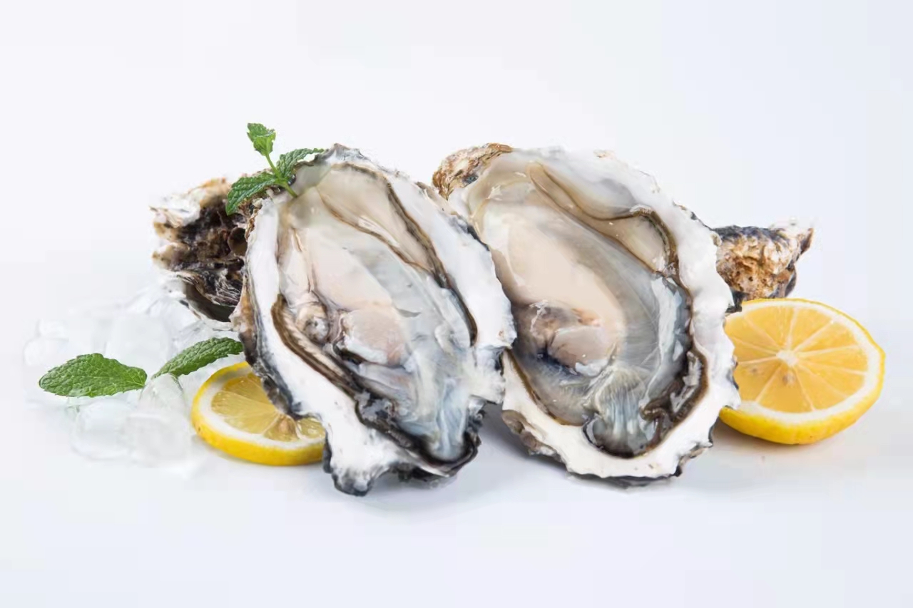 泓九原生肽:砥“蛎”前行,拭“牡”以待,加快推进牡蛎产业新态