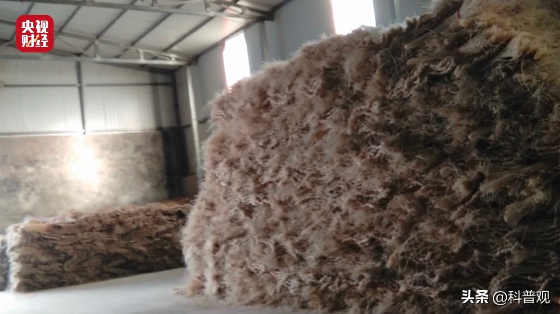 假粉条木薯粉对人身体有啥坏处,红薯粉和木薯粉混合粉条合格吗