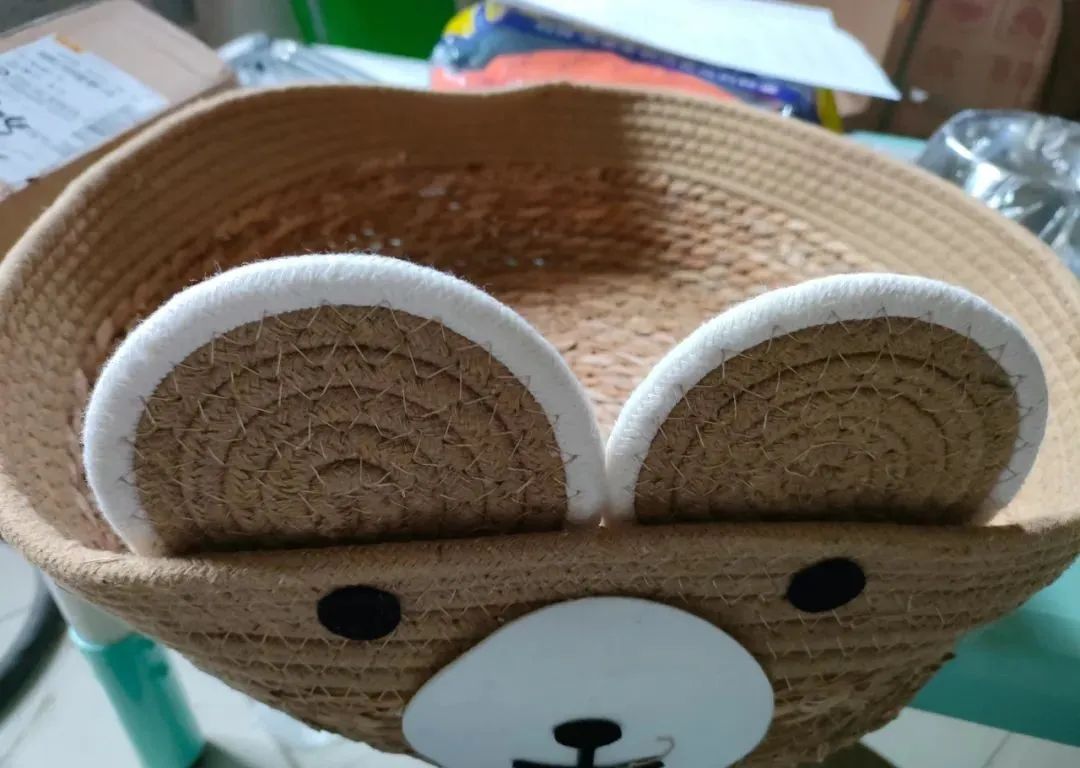 中国首只人工繁育兔狲离世,兔狲思邈怎么死了