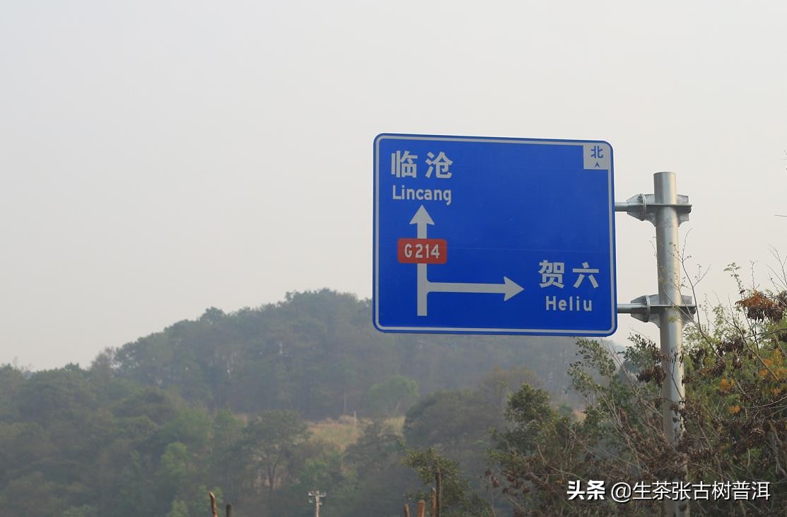 勐海茶苦临沧茶涩易武的茶甜,易武与勐海的普洱茶哪个好