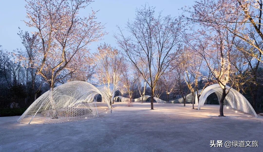 樱花树下的约定字体设计,樱花树下的约定完美国度