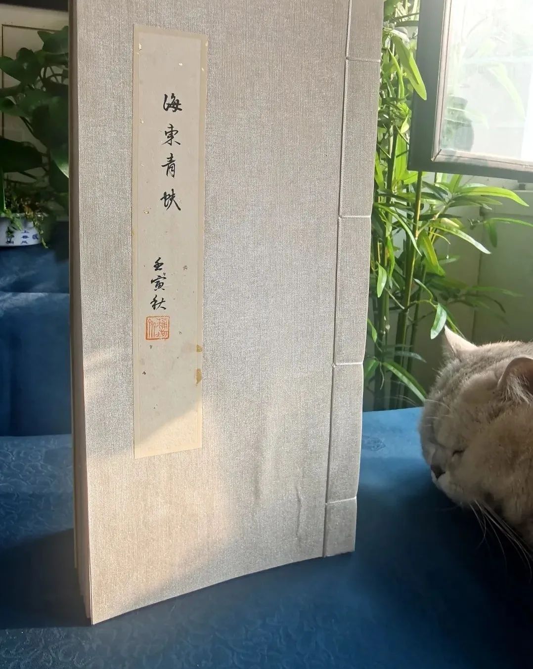 光阴的故事|全手工线装半岛古币精品原拓集首发