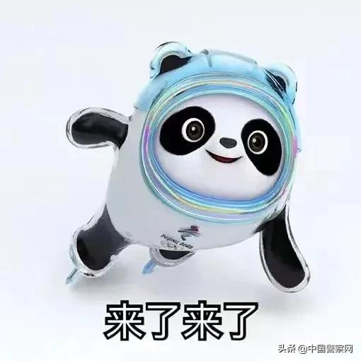 冰墩墩卖假的被警察抓,冰墩墩找别人代购靠谱吗