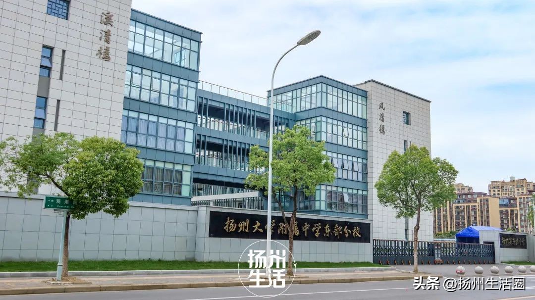 东区内卷之王，观潮路