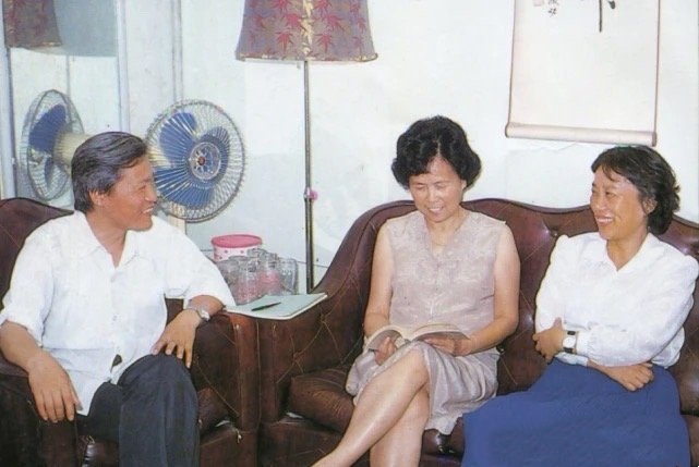 除父母爱情以外评价最高的电视剧,父母爱情电视剧免费观看完整版