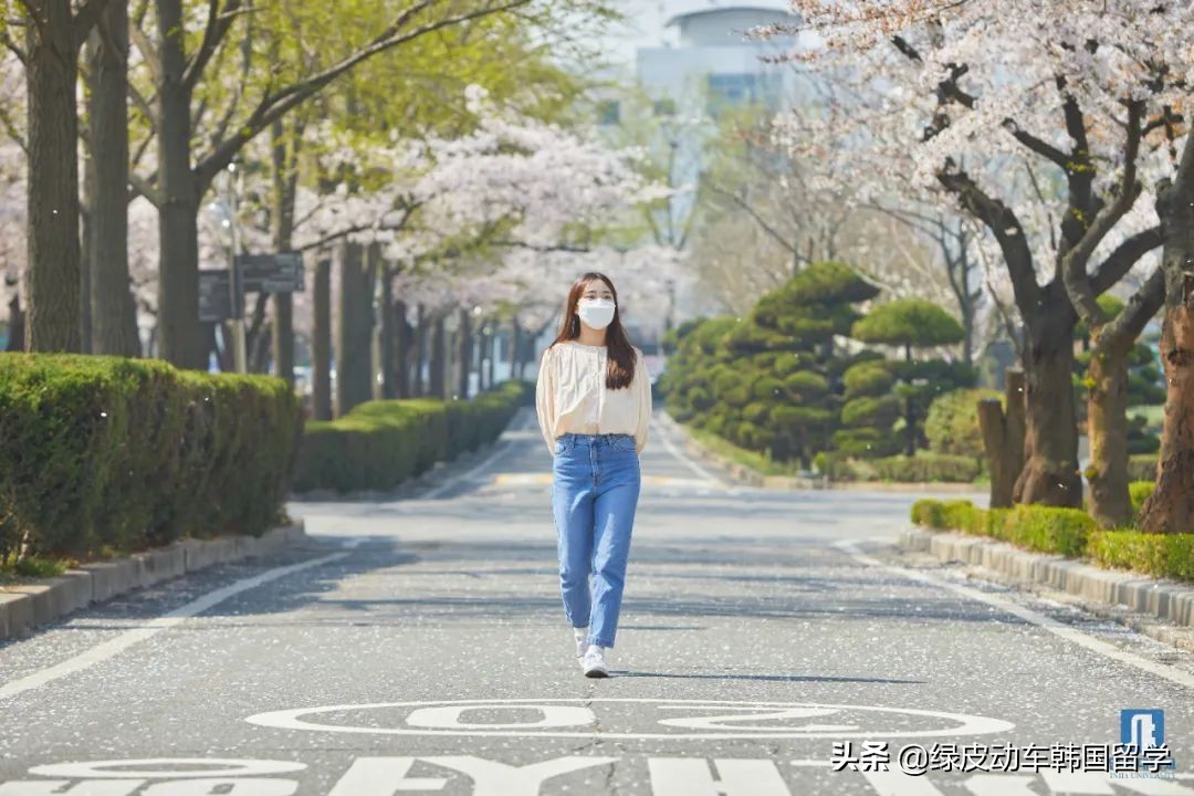 预算10w去哪个国家留学,预算十万去哪留学读研