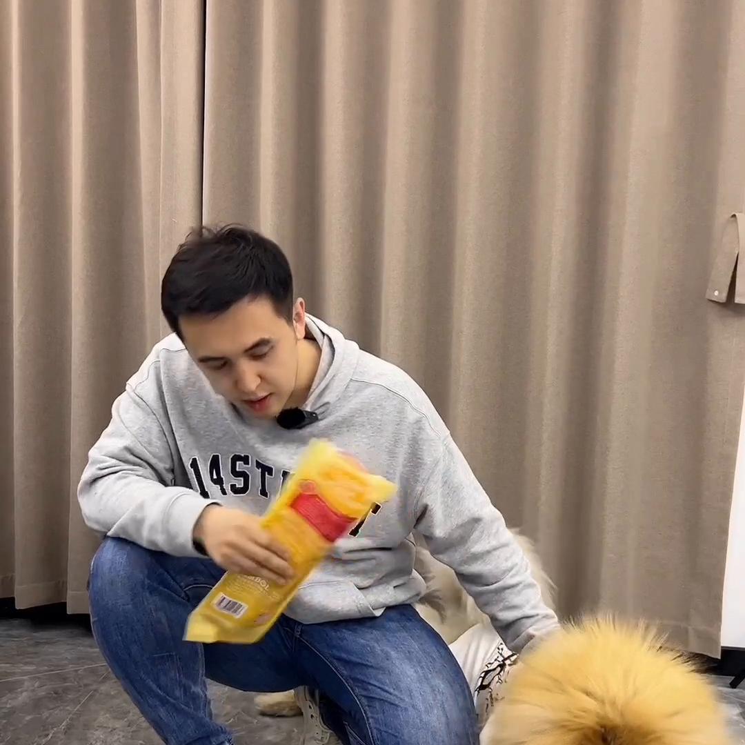 阿拉斯加狗狗在家拆家,家里没人狗狗总是叫怎么办