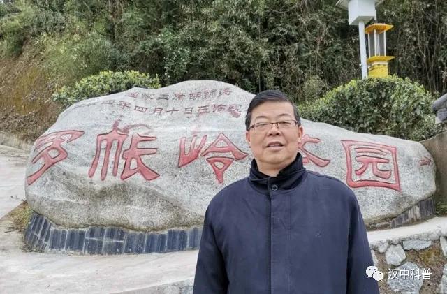 陕西汉中名茶,汉中茶叶加工制作全过程