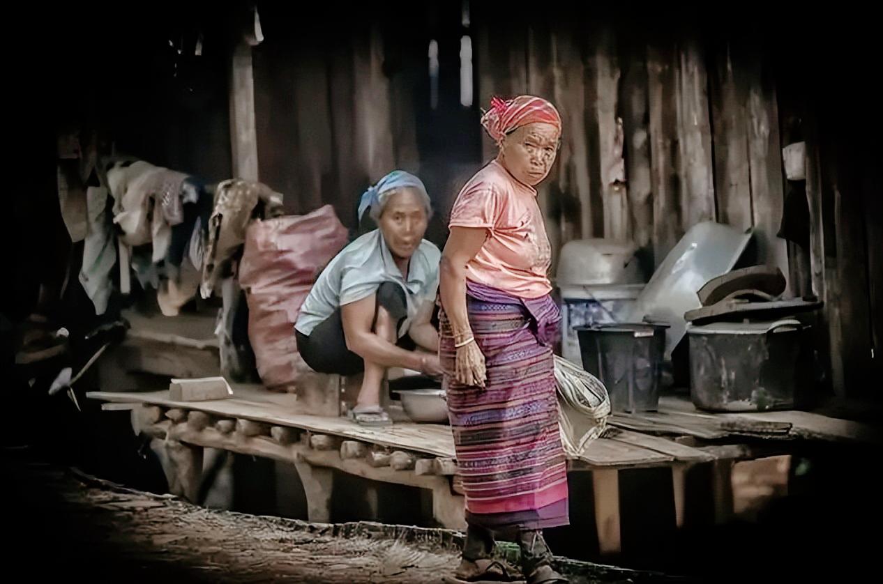 老挝保护野生动物,老挝集市野生动物