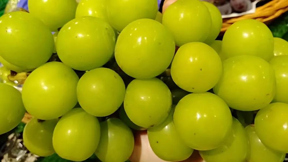 新手小白如何开一家水果店,如何开好免费水果店