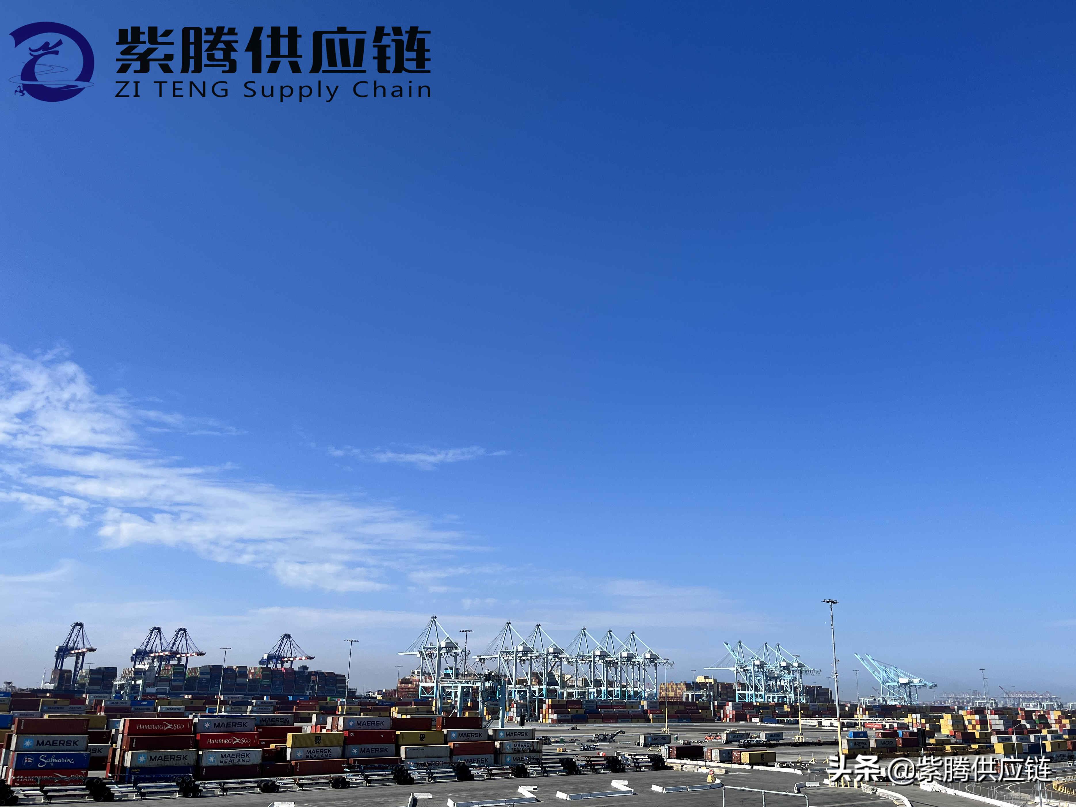 货运代理与报关行：有什么区别？