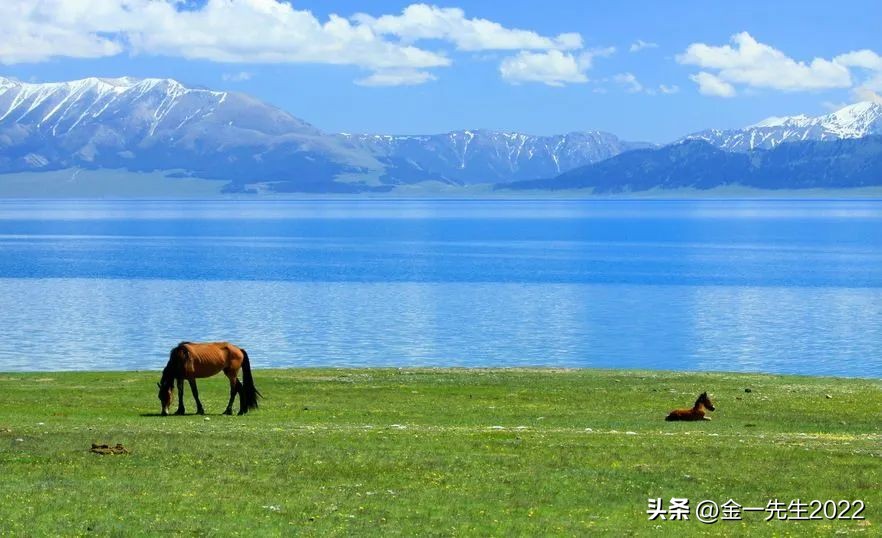 商品就是货币,货是指什么