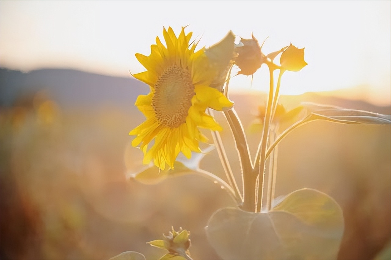 父母没能力给你“买房买车”，请别怨恨他们