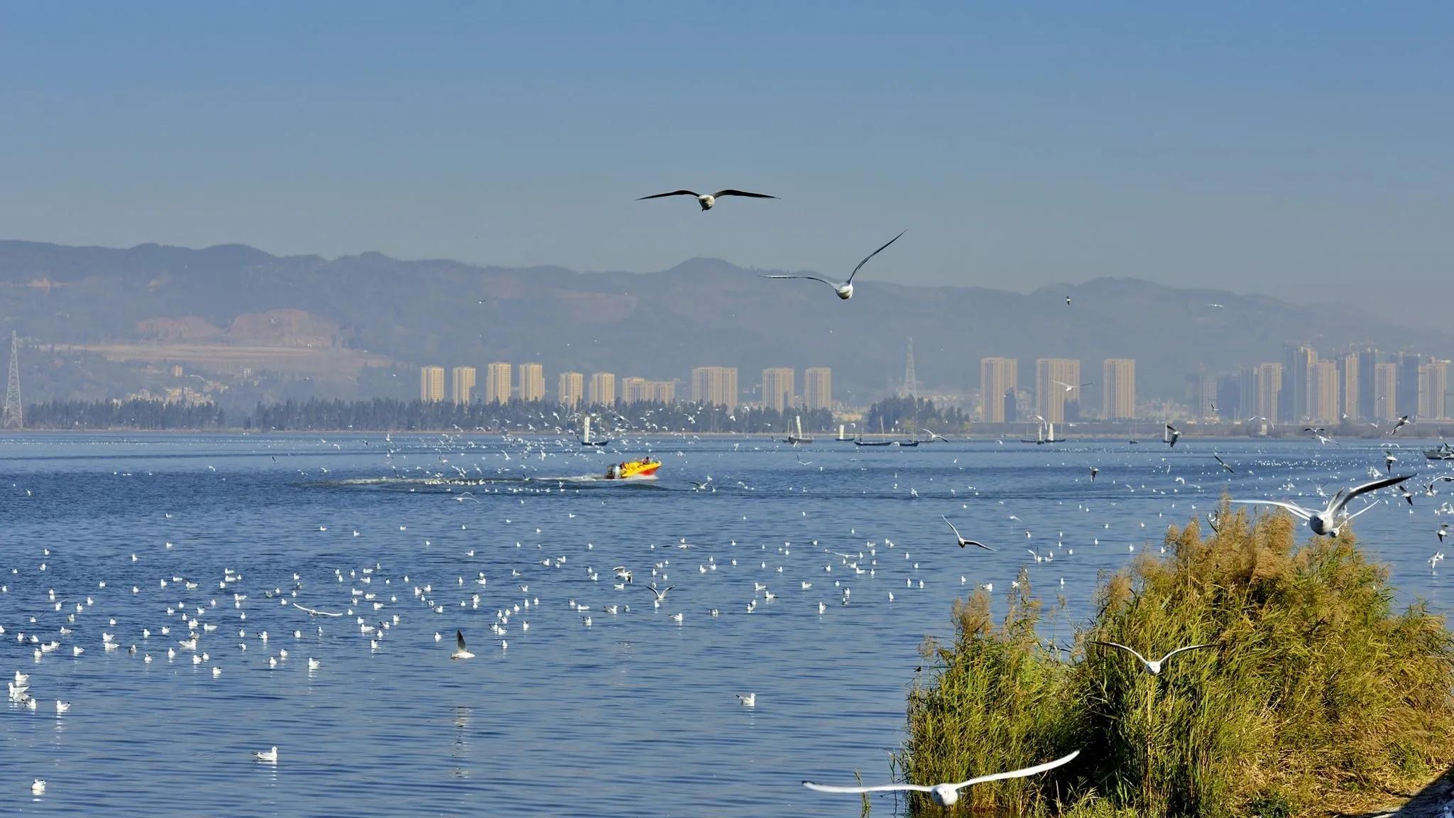 这个季节适合去昆明哪旅游,这个季节在昆明游最应该去的地方