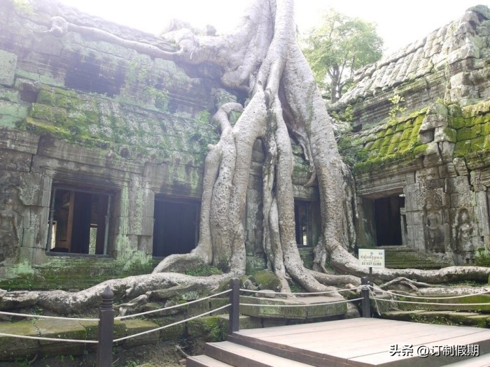 柬埔寨天空吴哥航空公司,天空吴哥航空机队