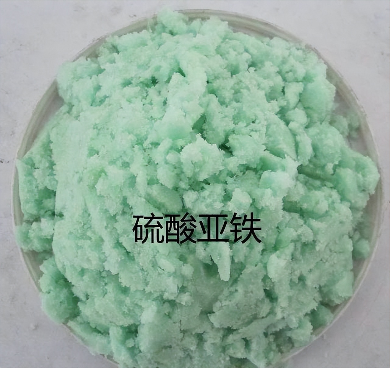 过期的各种药片混在一起浇花好吗,四种过期药片可以浇花