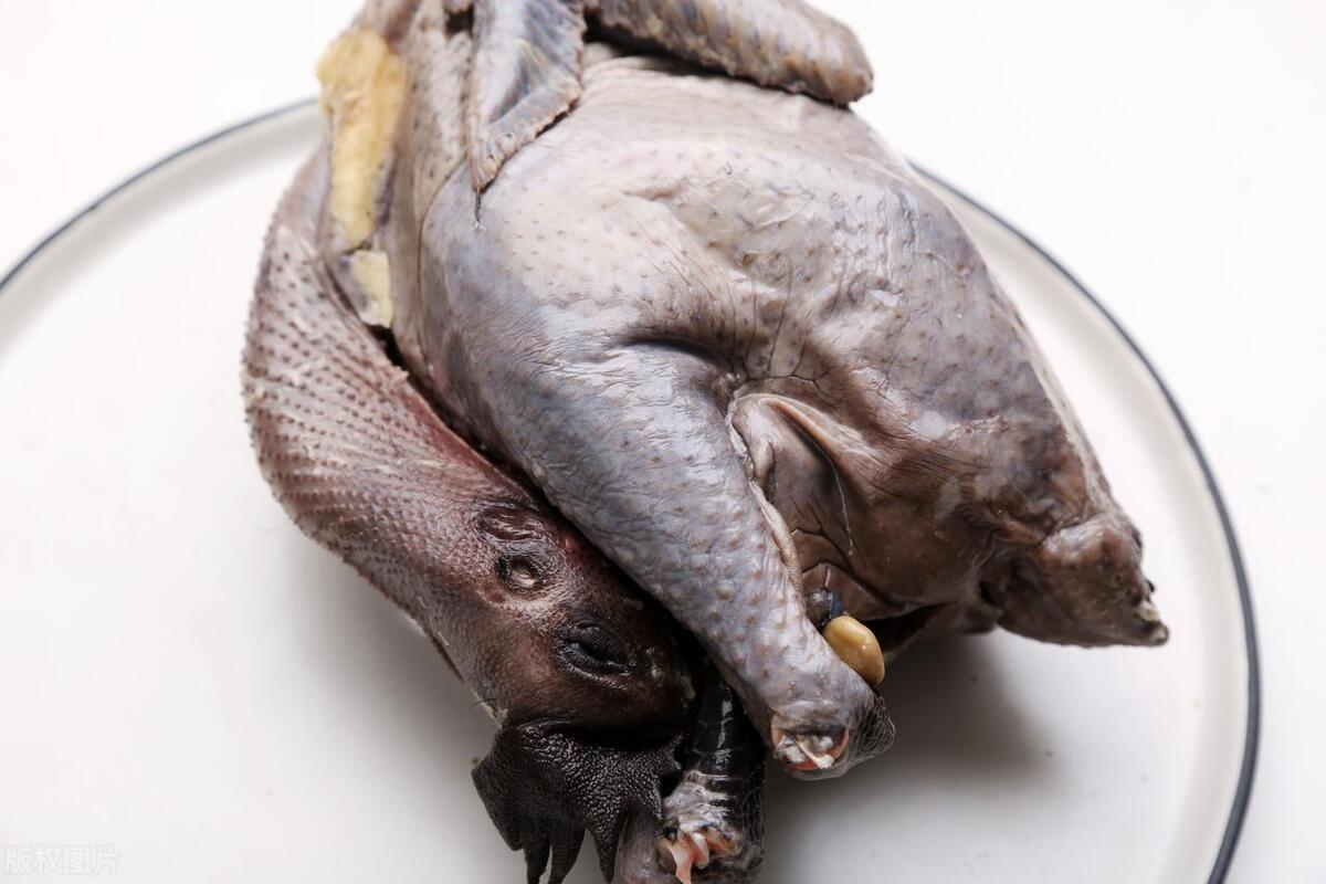 纯母乳坐月子能吃什么汤,月子里不喂母乳可以喝什么汤