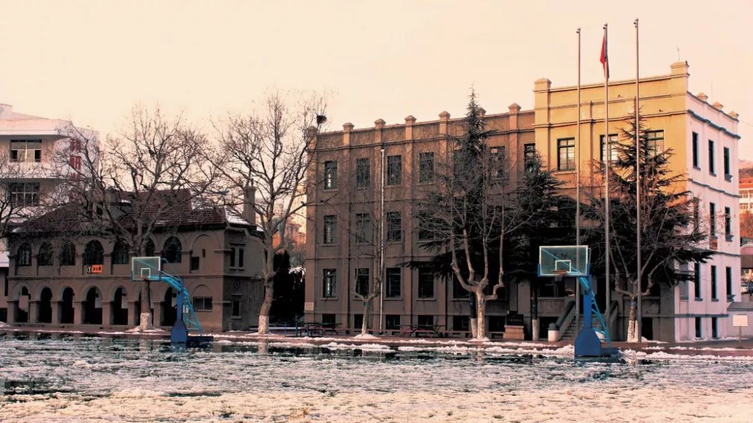 519中国旅游日|年代感拉满，在英式建筑中邂逅老威海