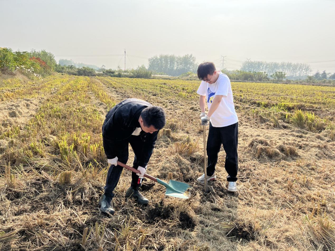 耕地质量实时更新和监测,农田耕地质量监测工作