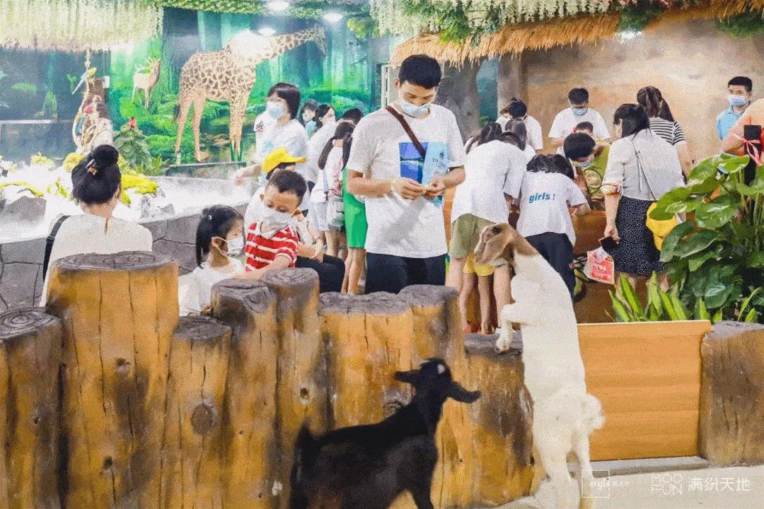 奥特莱斯为什么有新款,奥特莱斯现在发展得怎样