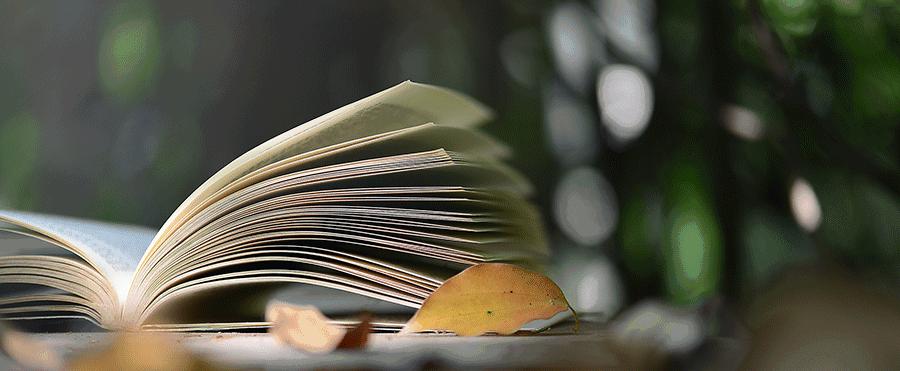 哈佛耶鲁高盛,我是如何一口气考上哈佛耶鲁