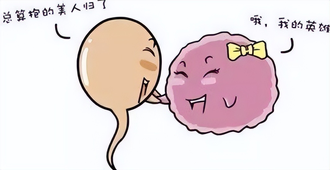 不孕不育知识讲解,不孕不育的十大问题