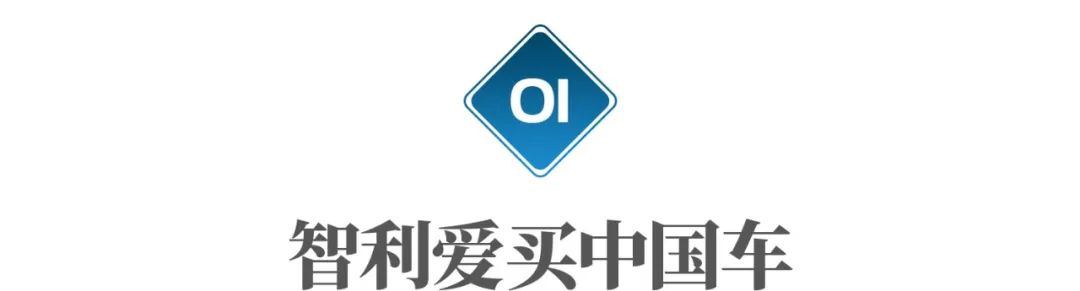 智利进口中国什么车最多 (智利进口中国汽车)