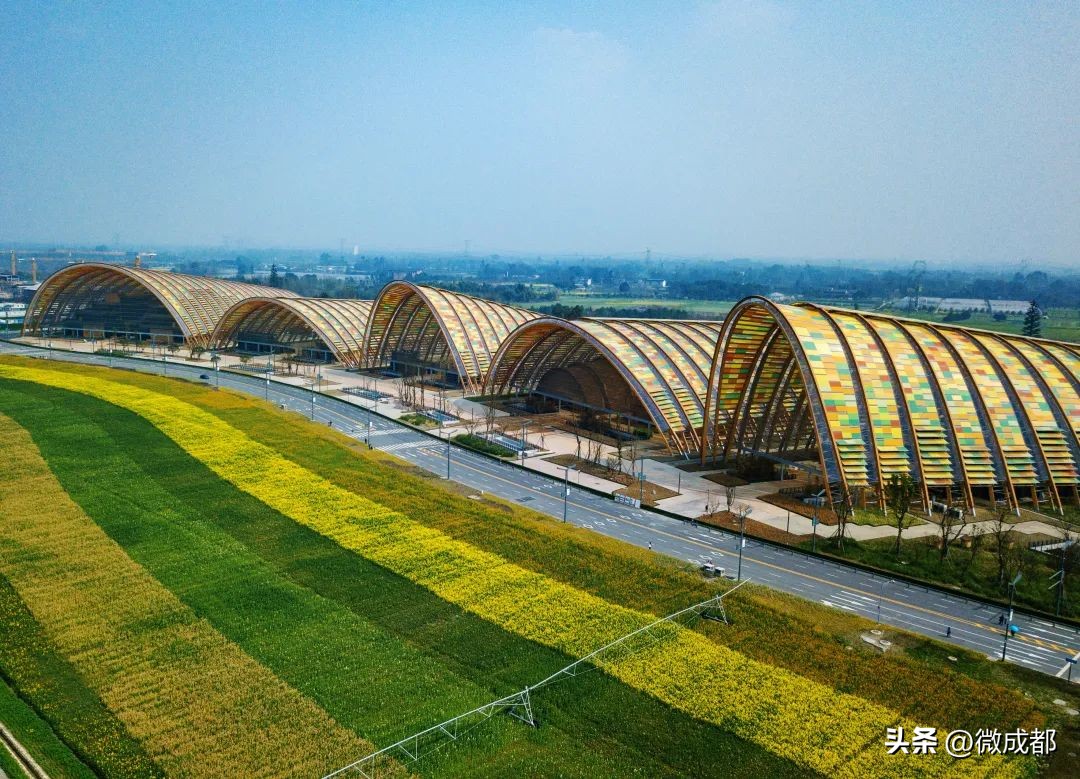 成都青年的十二时辰,成都十二时辰解读