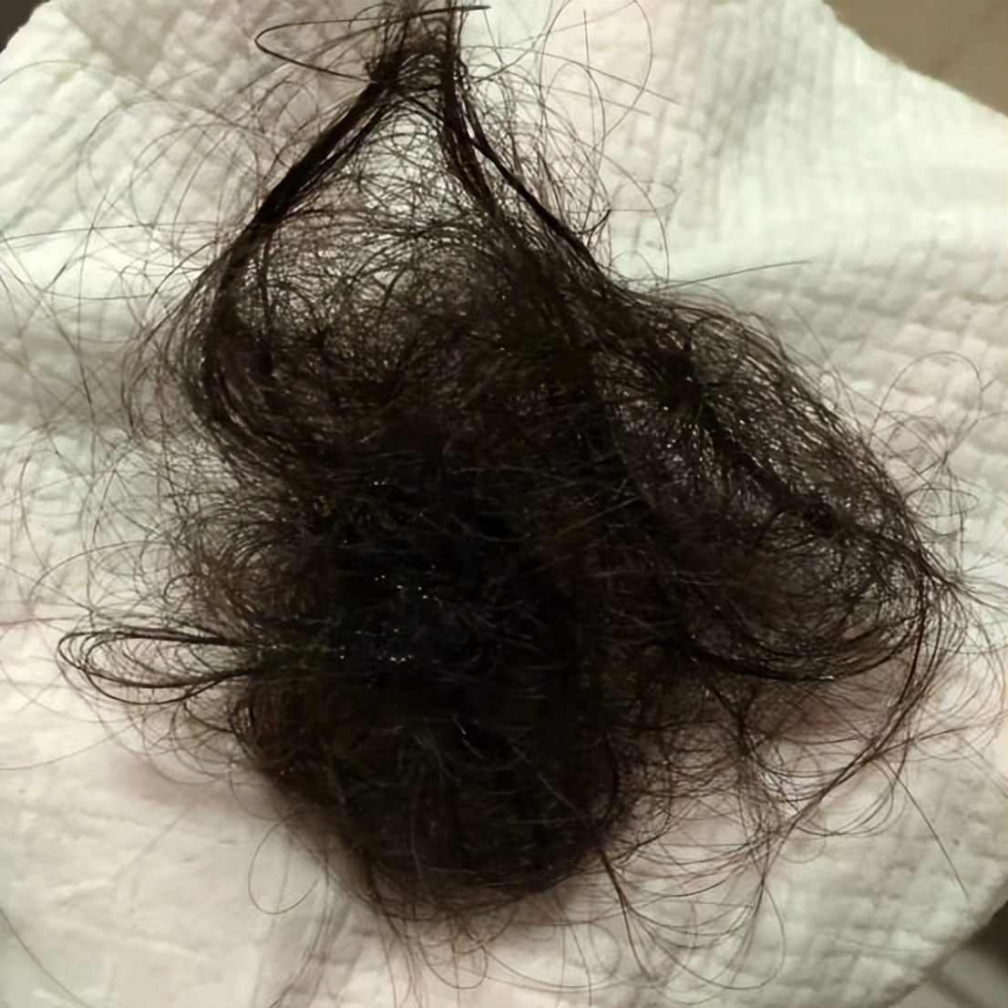 挨骂也要揭开的真相,挨骂也要揭开苹果手机真相