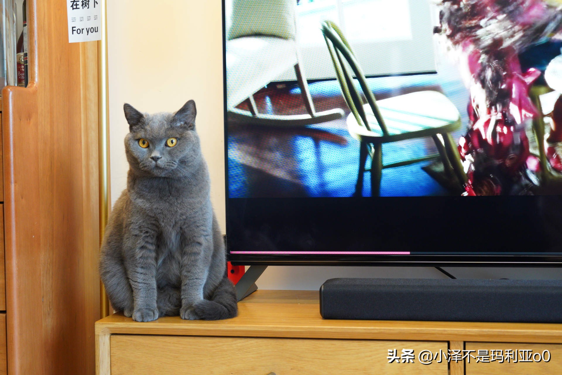 别再把条形音响当回音壁了！深入浅出，手把手教你分辨真假回音壁