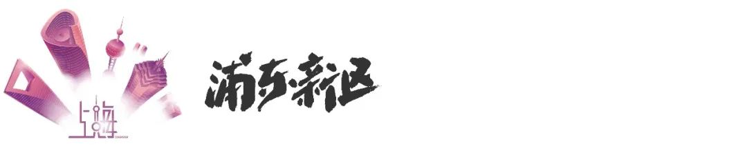 上海浦东30年的变化图片,上海浦东发展30年变化图
