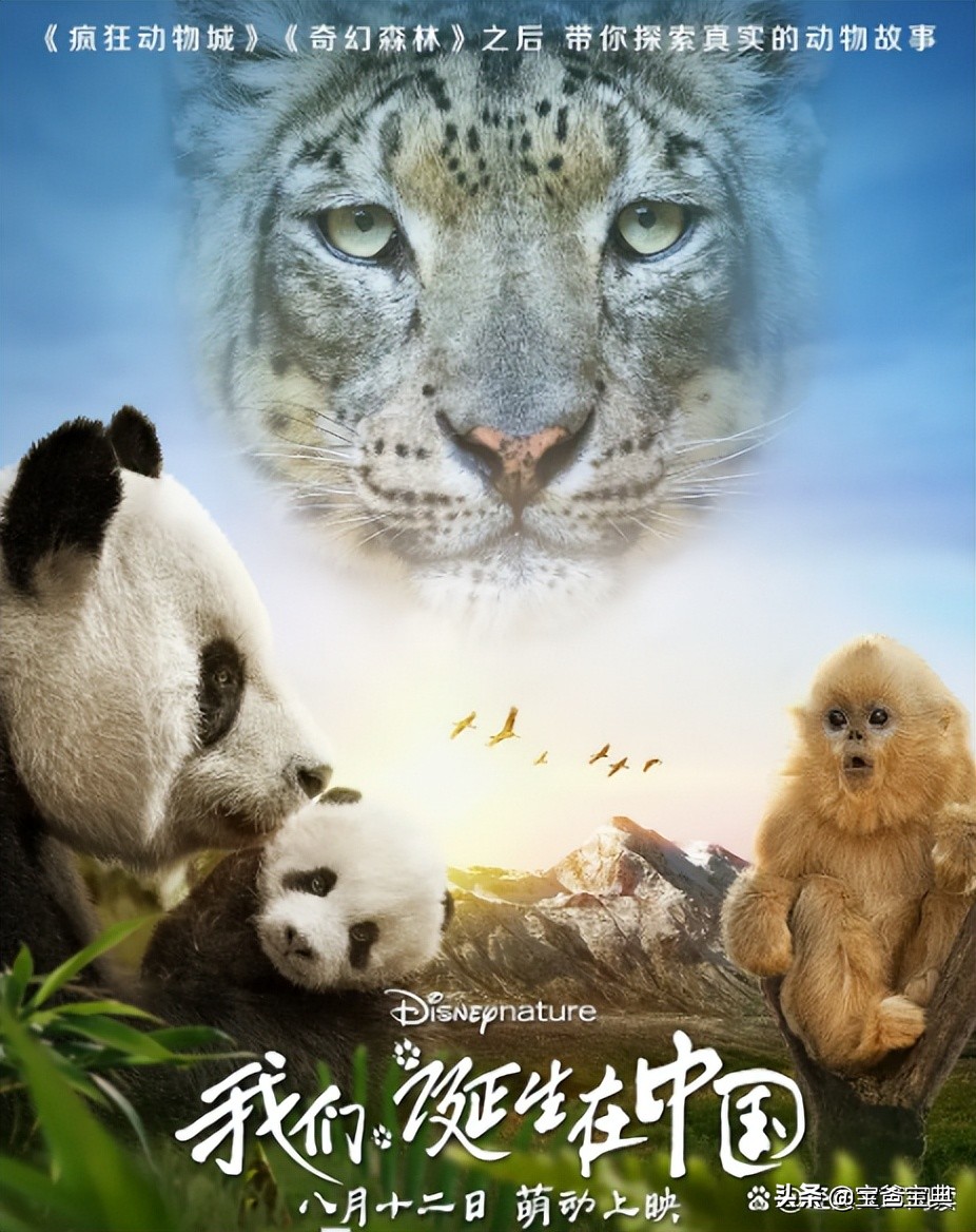 地理类十大高分纪录片,9部初中生必看的地理纪录片