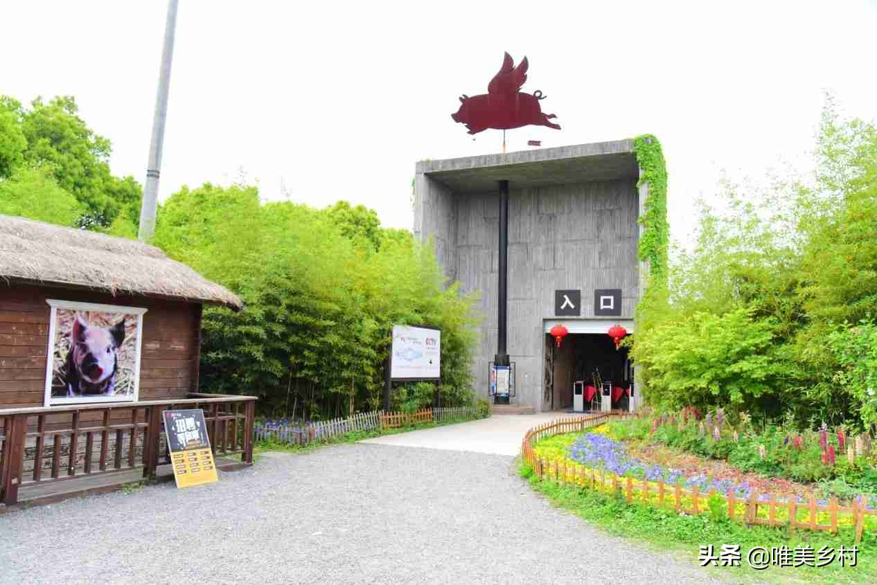 怎样打造一个生态庄园,怎样打造特色农家庄园