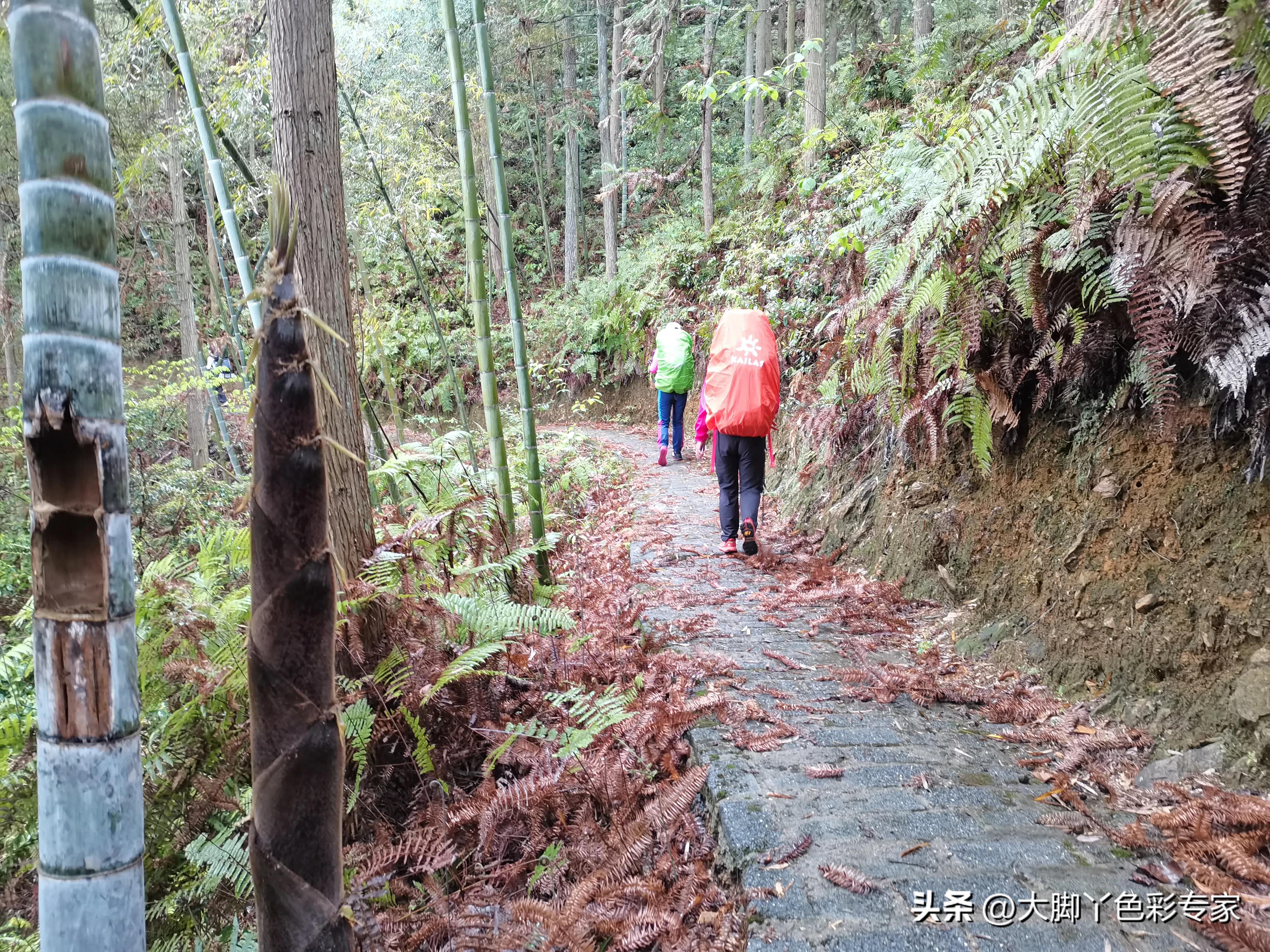 郴州八面山云海,郴州桂东县八面山风景区