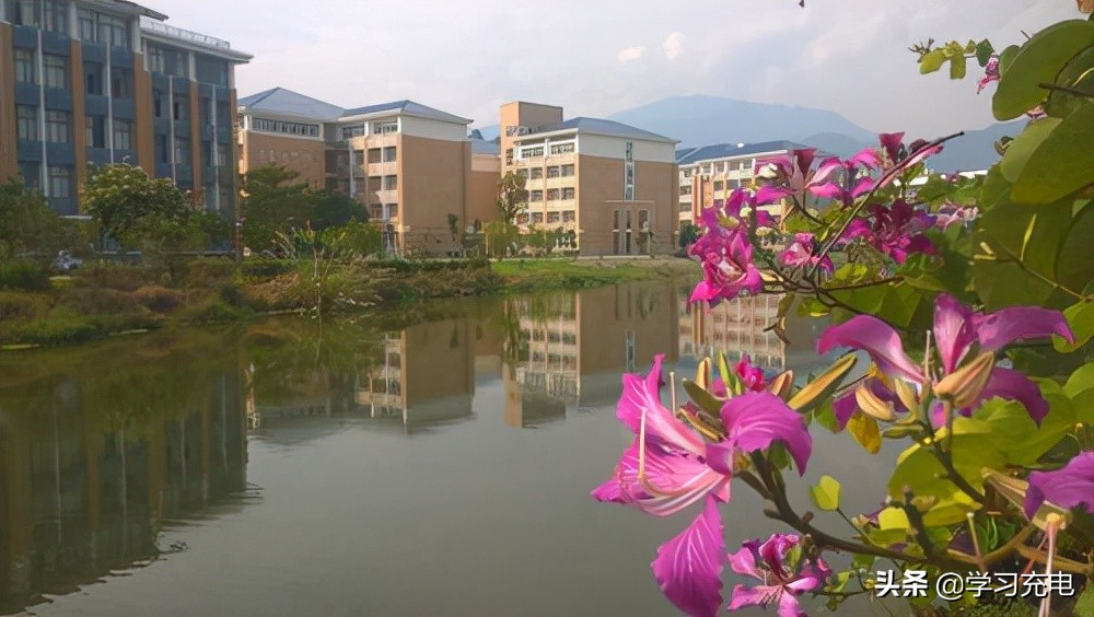 福建一所学院,获7大名校支持,网友:什么来历?