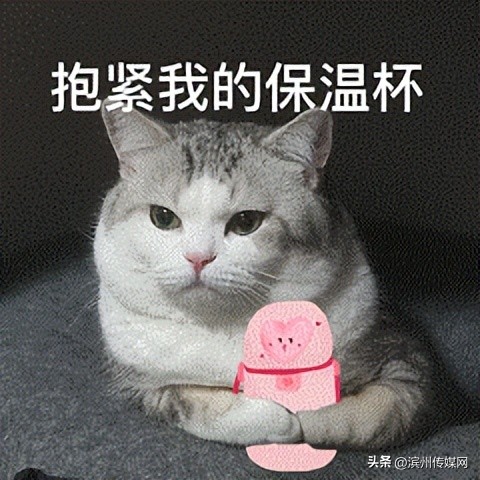 保温杯底部标签能不能撕掉,保温杯底部贴纸真的不能揭