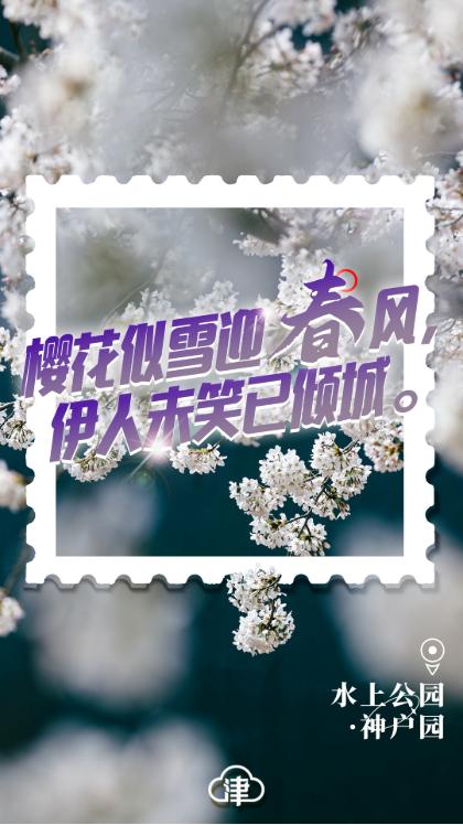 四月的天津,四月初的天津