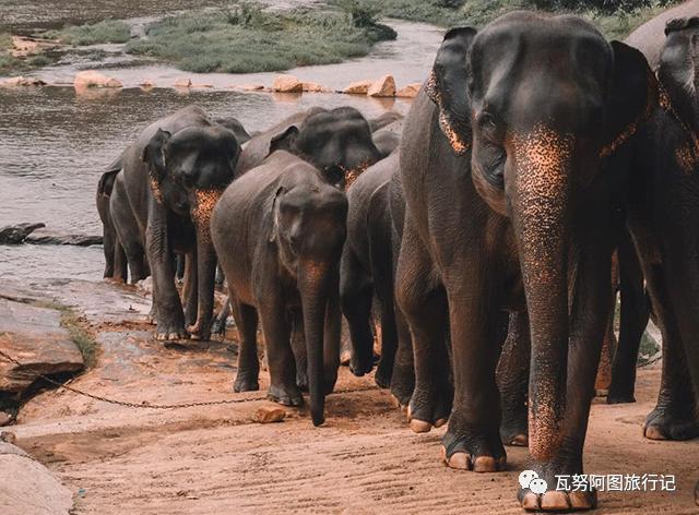 亚太最值得去的景点,出境游推荐这些目的地值得你去
