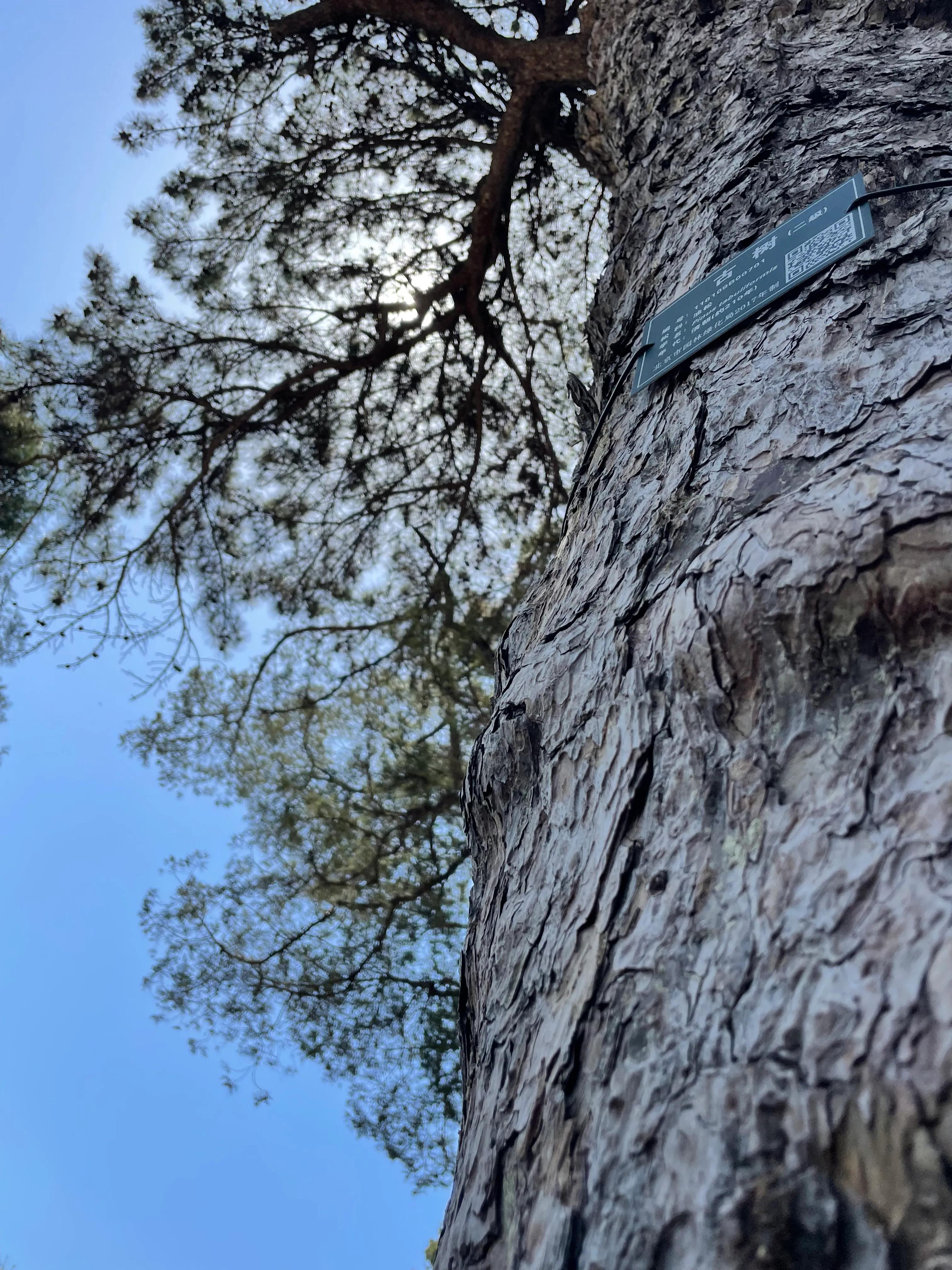 京城一日游方案,京城一日游推荐之潭柘寺
